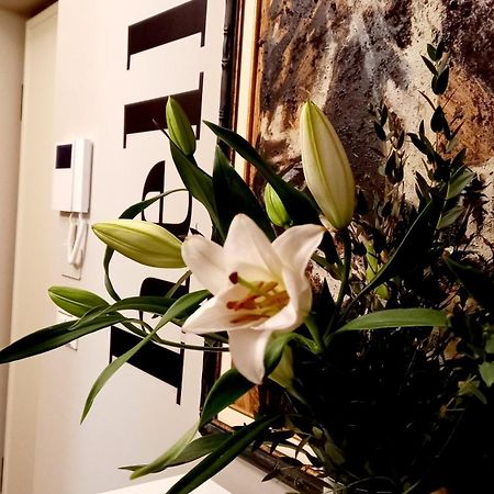 Sky Loft Nuovissimo Vicinanze Metro Apartment Turin Ngoại thất bức ảnh